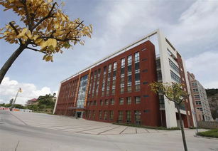 珠海金灣5所本科高校投檔線公布，職業教育培訓助力學子成才